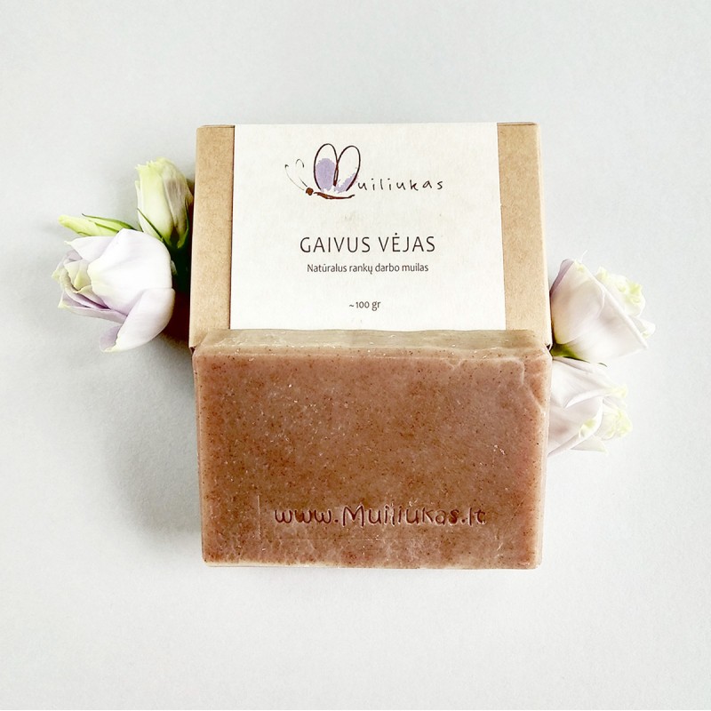 Natural soap - lavender, tea tree with cinnamon